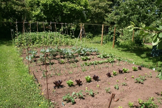 Stanton Court Care & Nursing Home